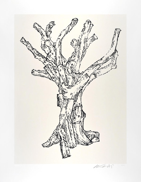 Ai Weiwei, Cedar (large), 2022