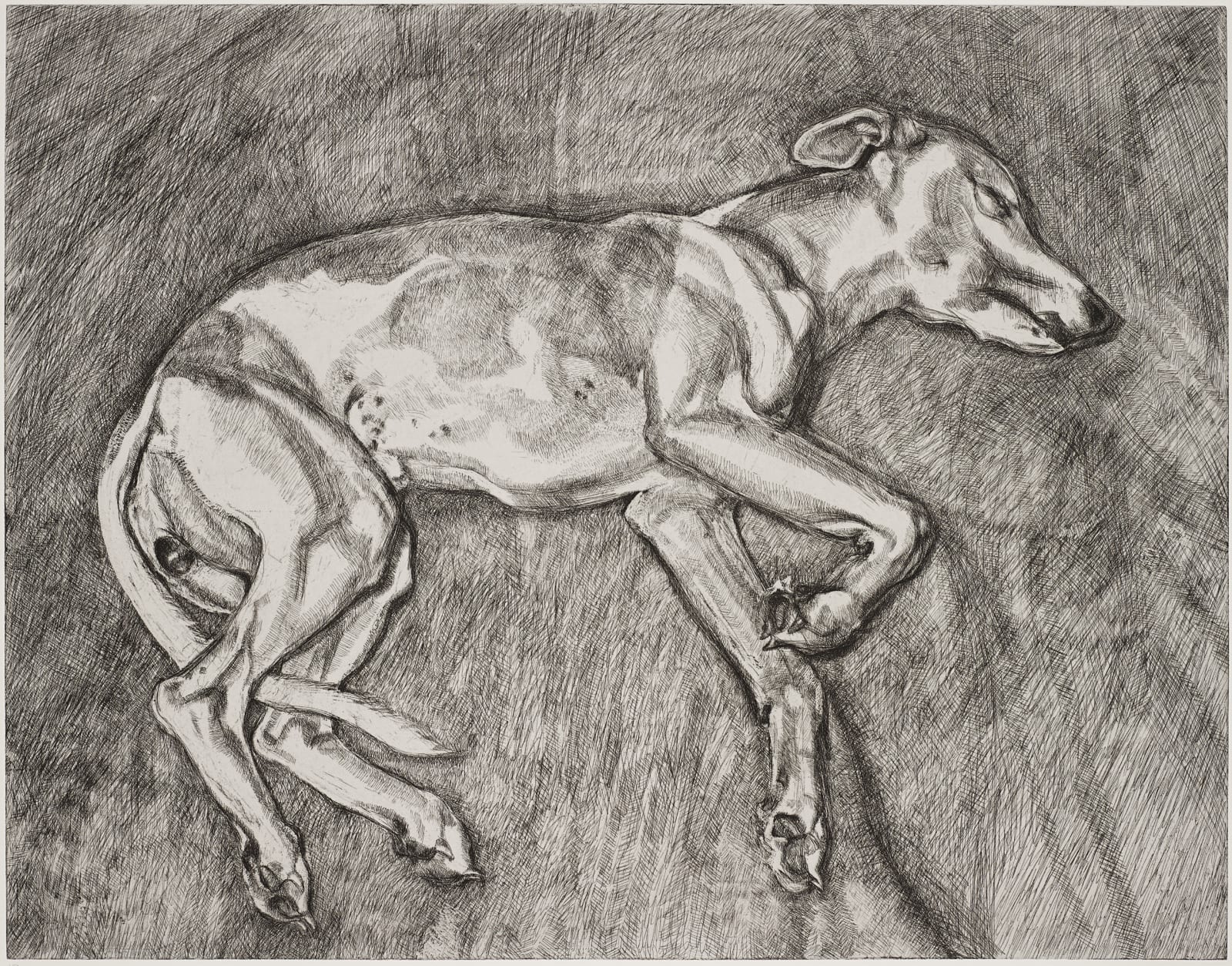 Lucian Freud, Eli, 2002