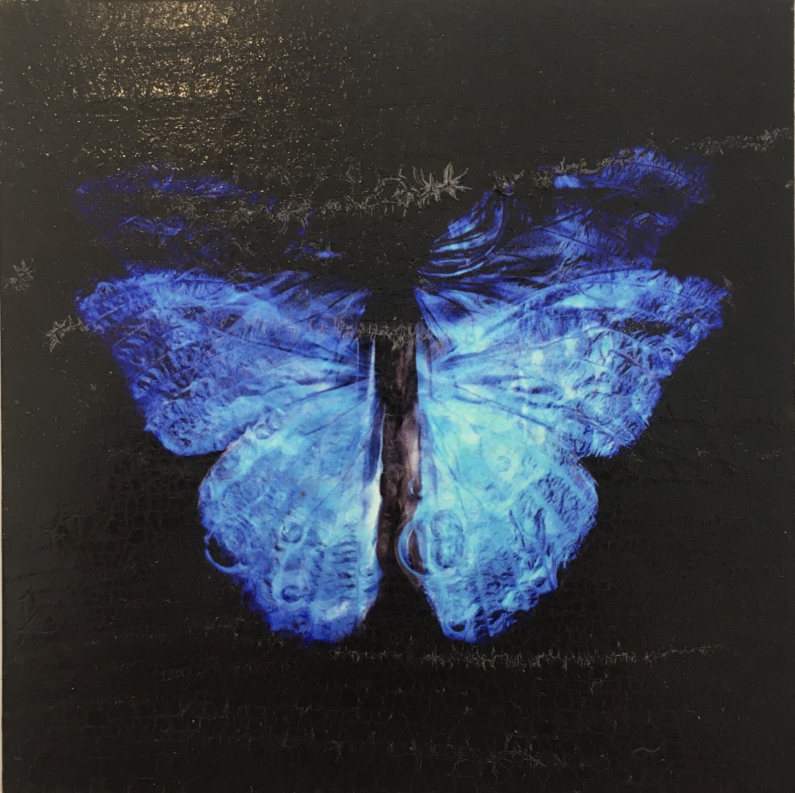 Alexander James Hamilton, The Mirror of the Goddess (1219-23), 2019