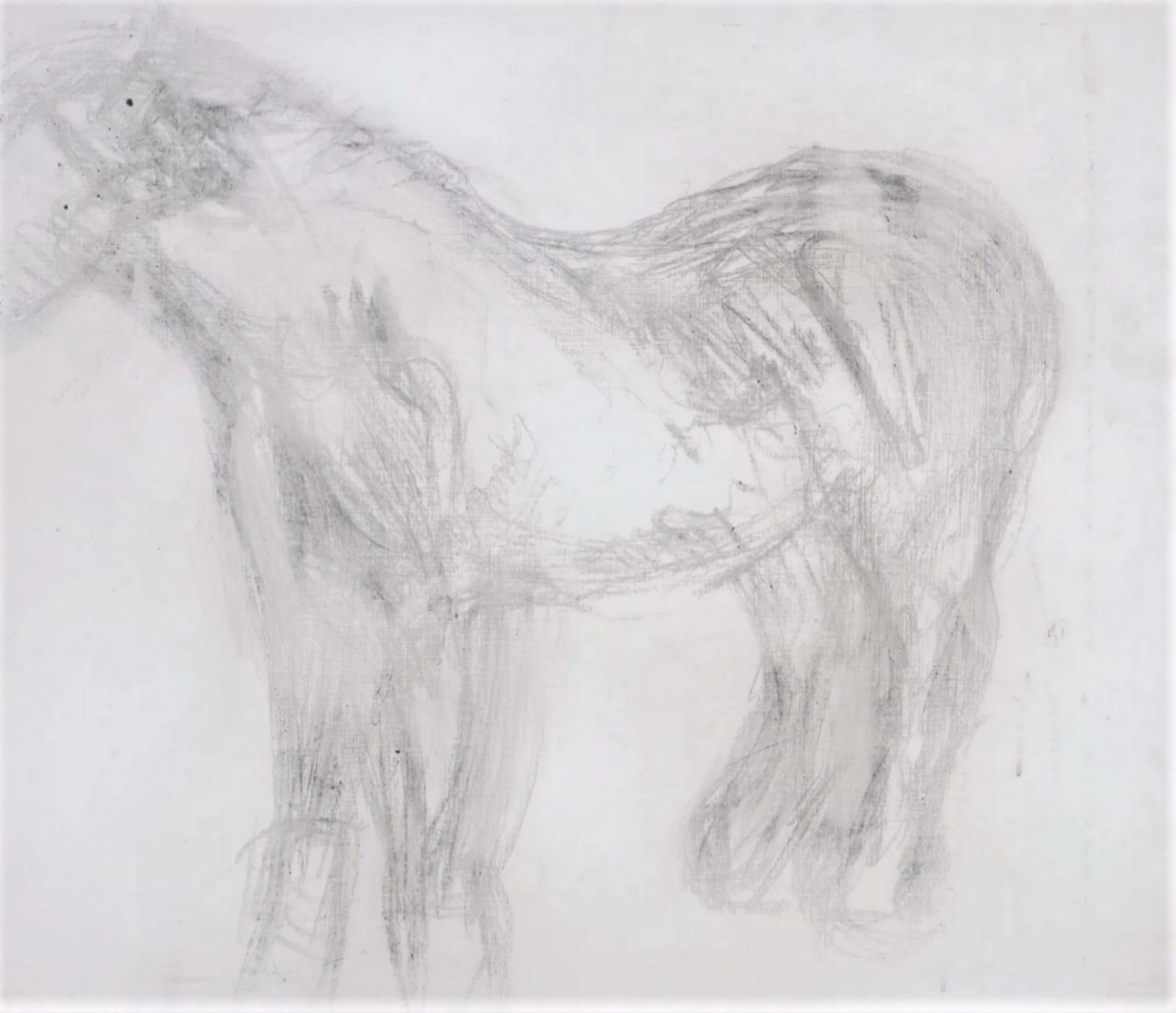 Lucian Freud, Sketch of Goldie, circa 2003