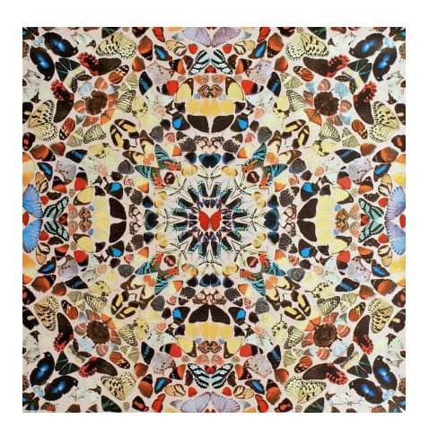 Damien Hirst, In A Gadda Da Vida, 2004