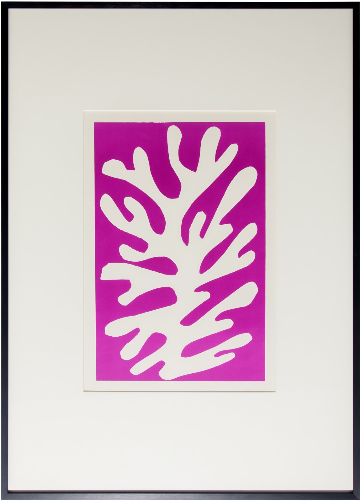 Henri Matisse, Algue Blanche sur fond Viole, 1960