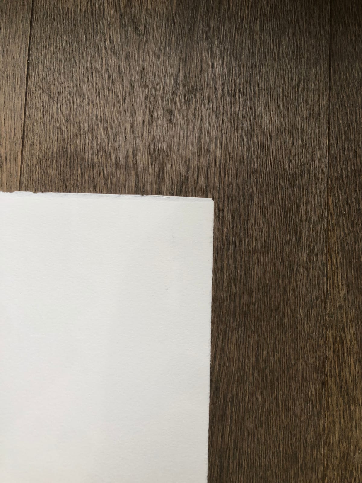 David Shrigley, The Paper Weighs Nothing, 2014