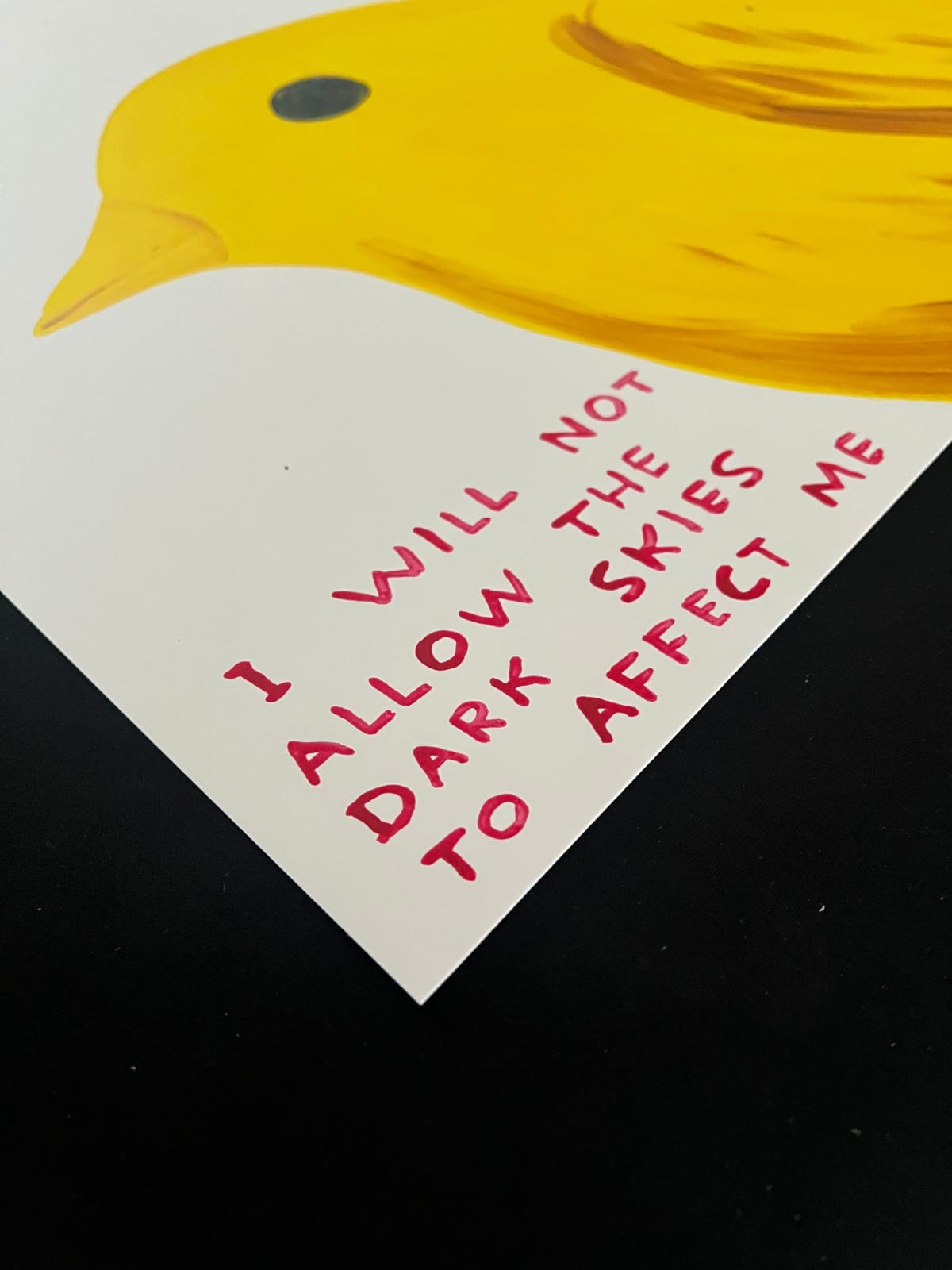 David Shrigley, I Will Not Allow The Dark Skies To Affect Me, 2025