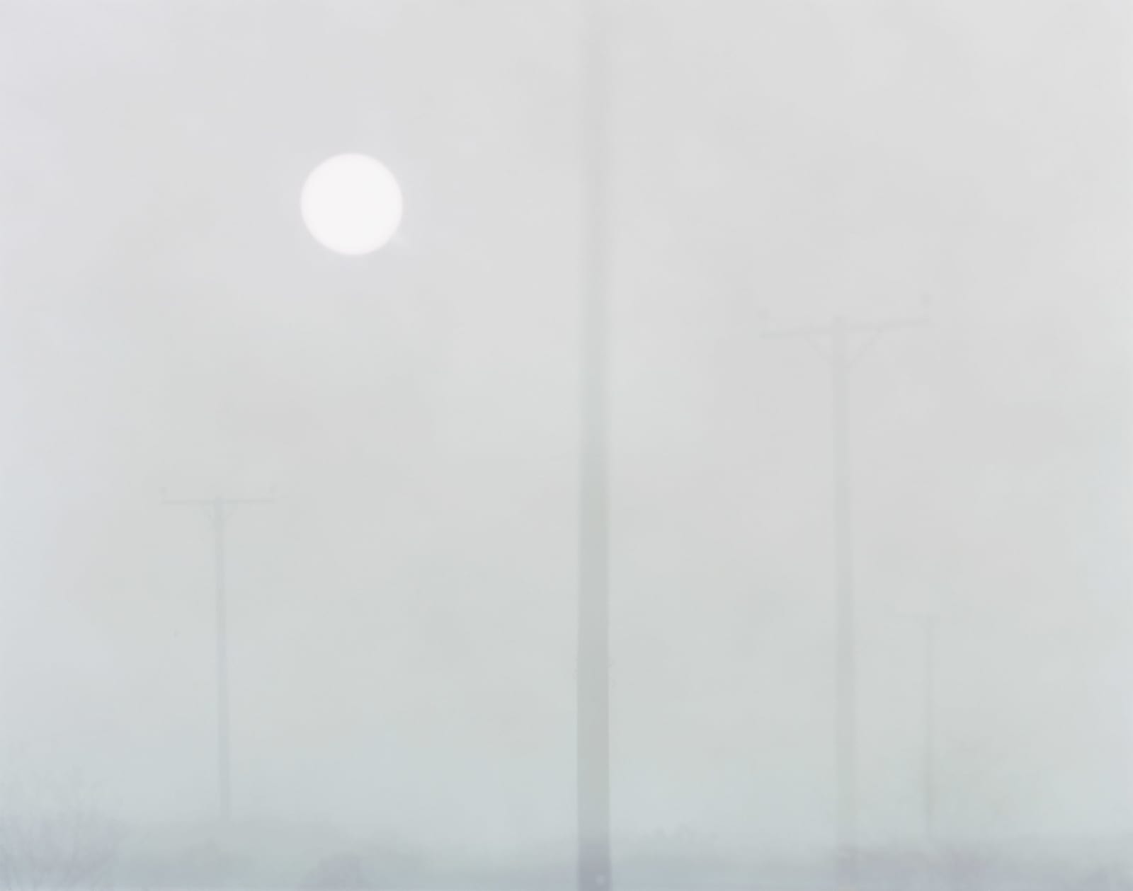 Nicholas Hughes, Field [Verse I], no. I, 2007-2009