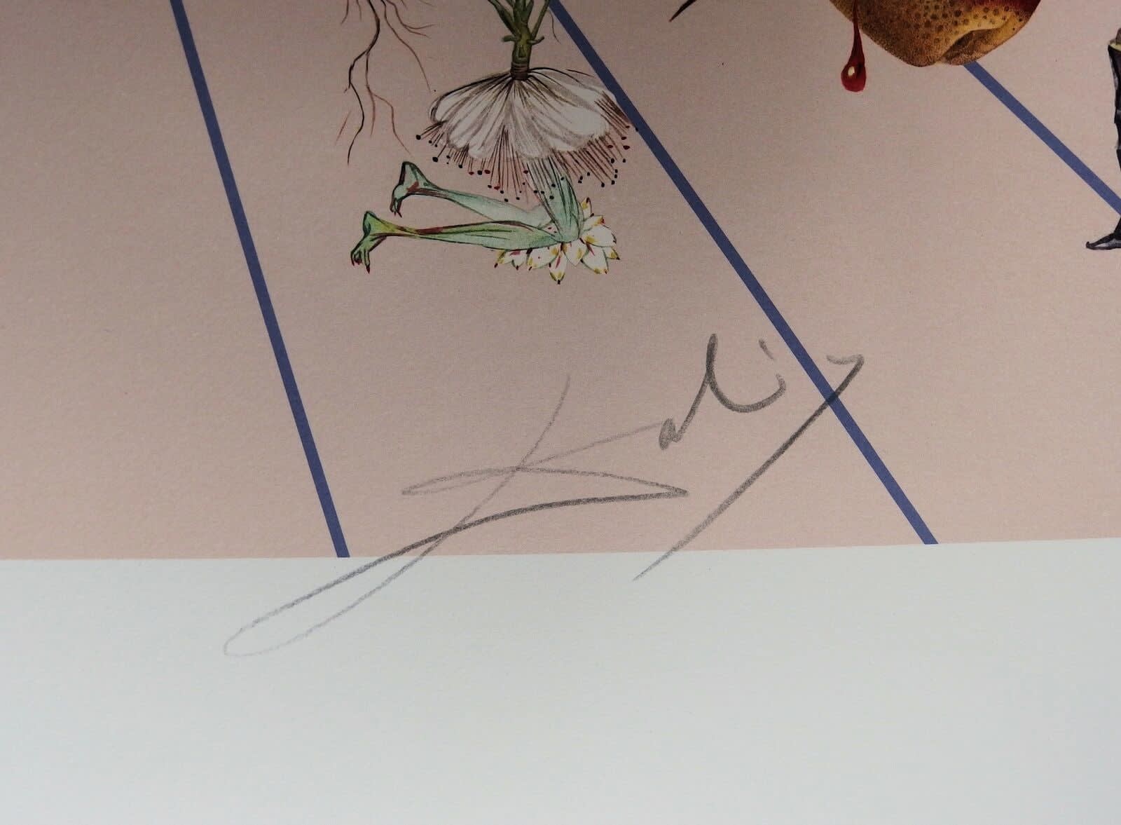 Salvador Dali, Flordali II, 1981