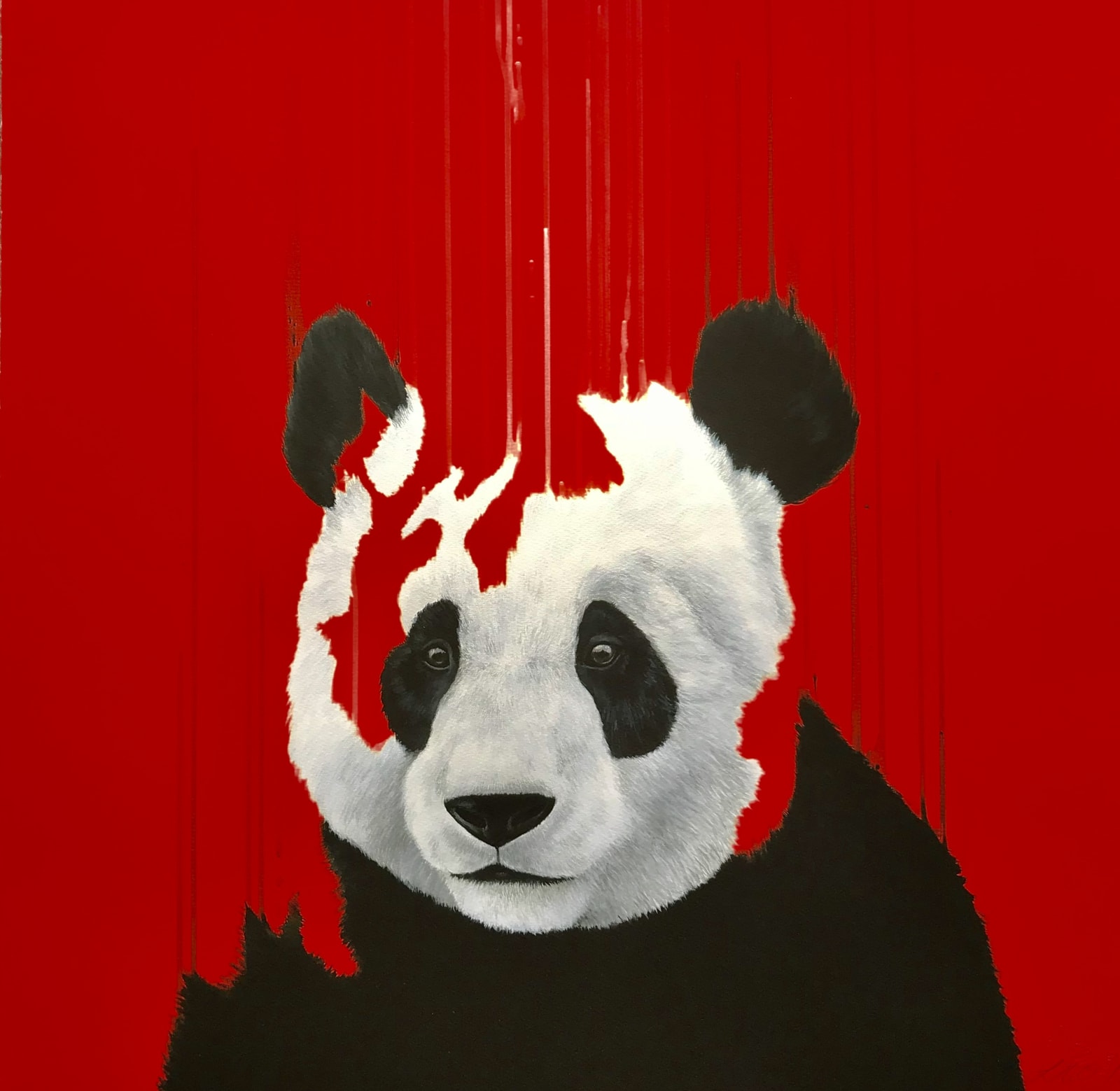 Louise McNaught, Red Panda