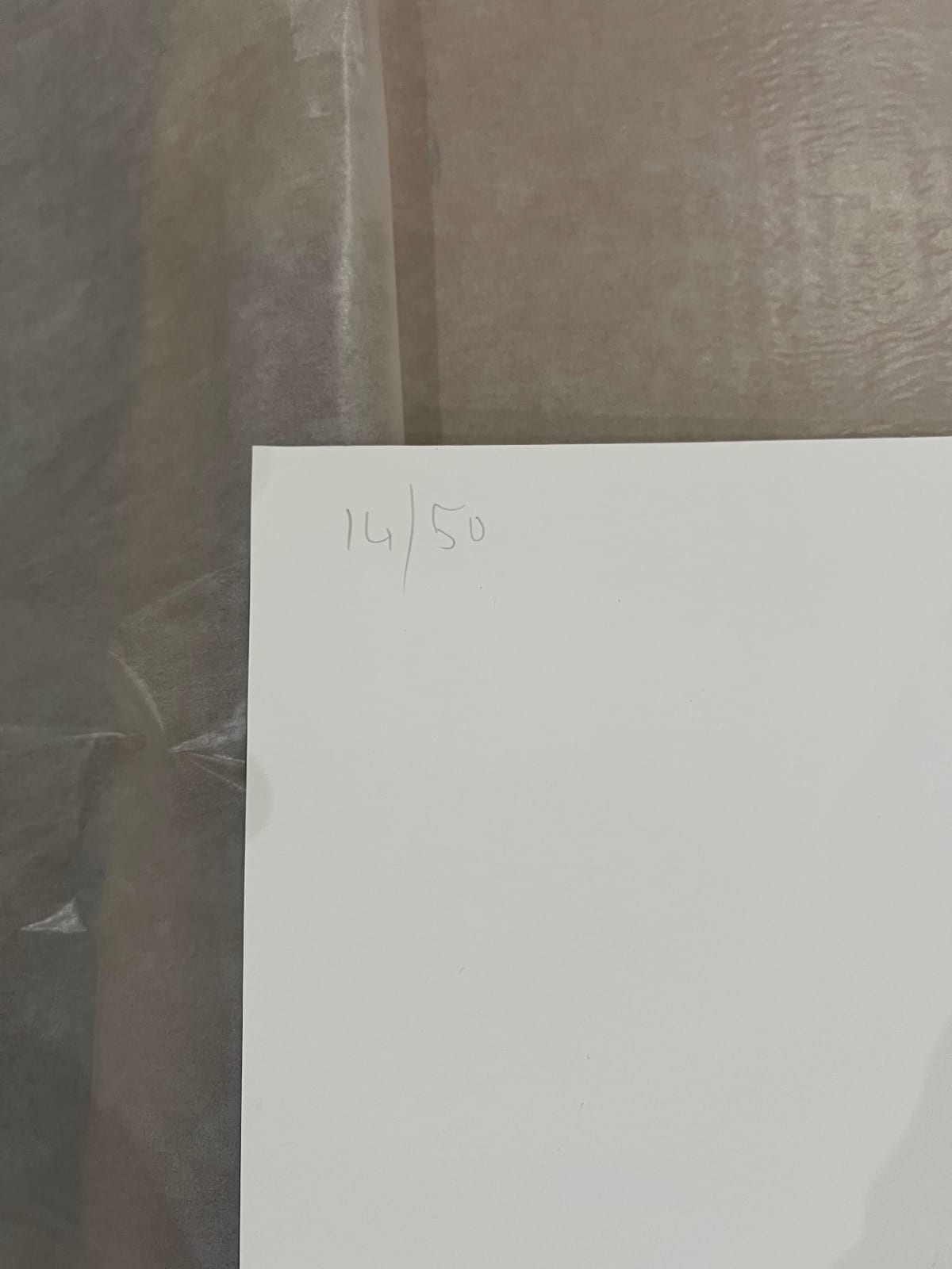 Marc Quinn, New Geography, 2020