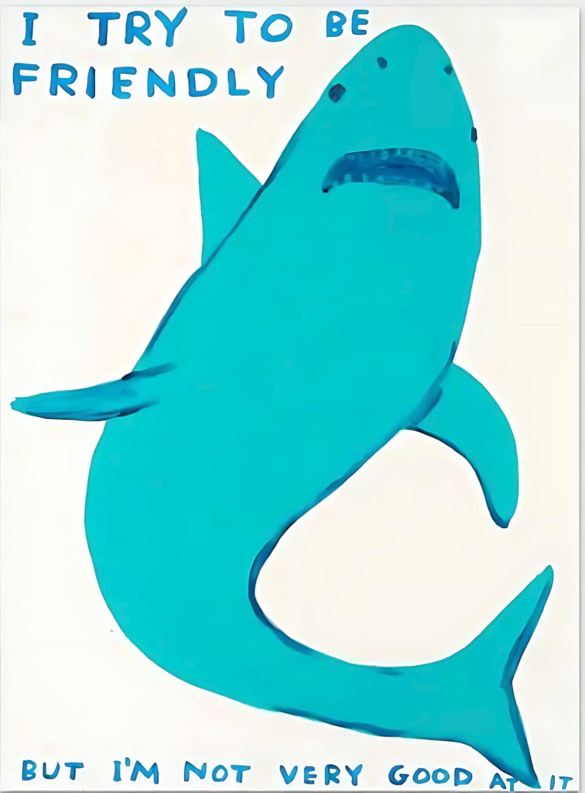 David Shrigley, I Try to be Friendly, 2023