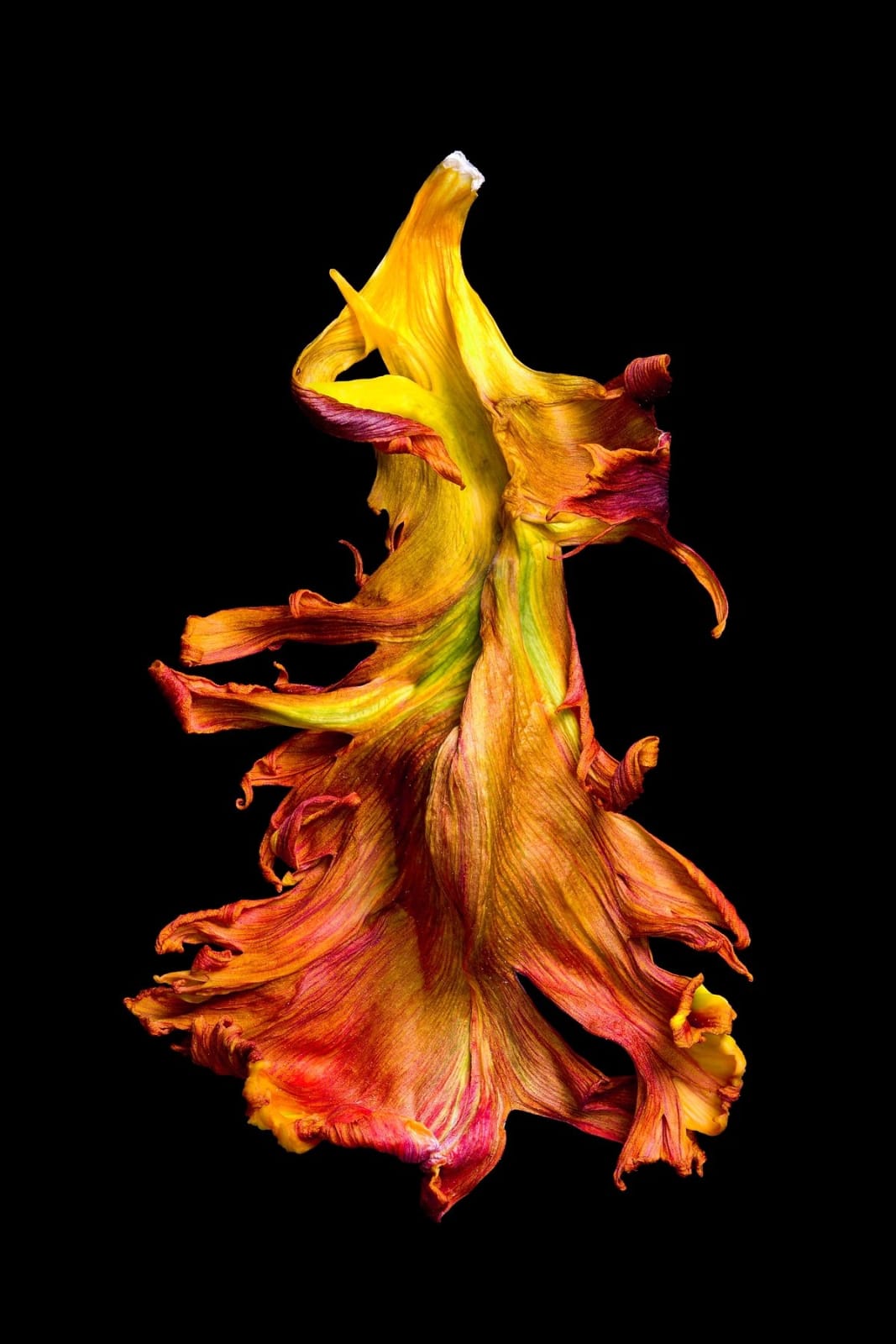 Rob Munday, Entropy's Dance [Segunda], 2022