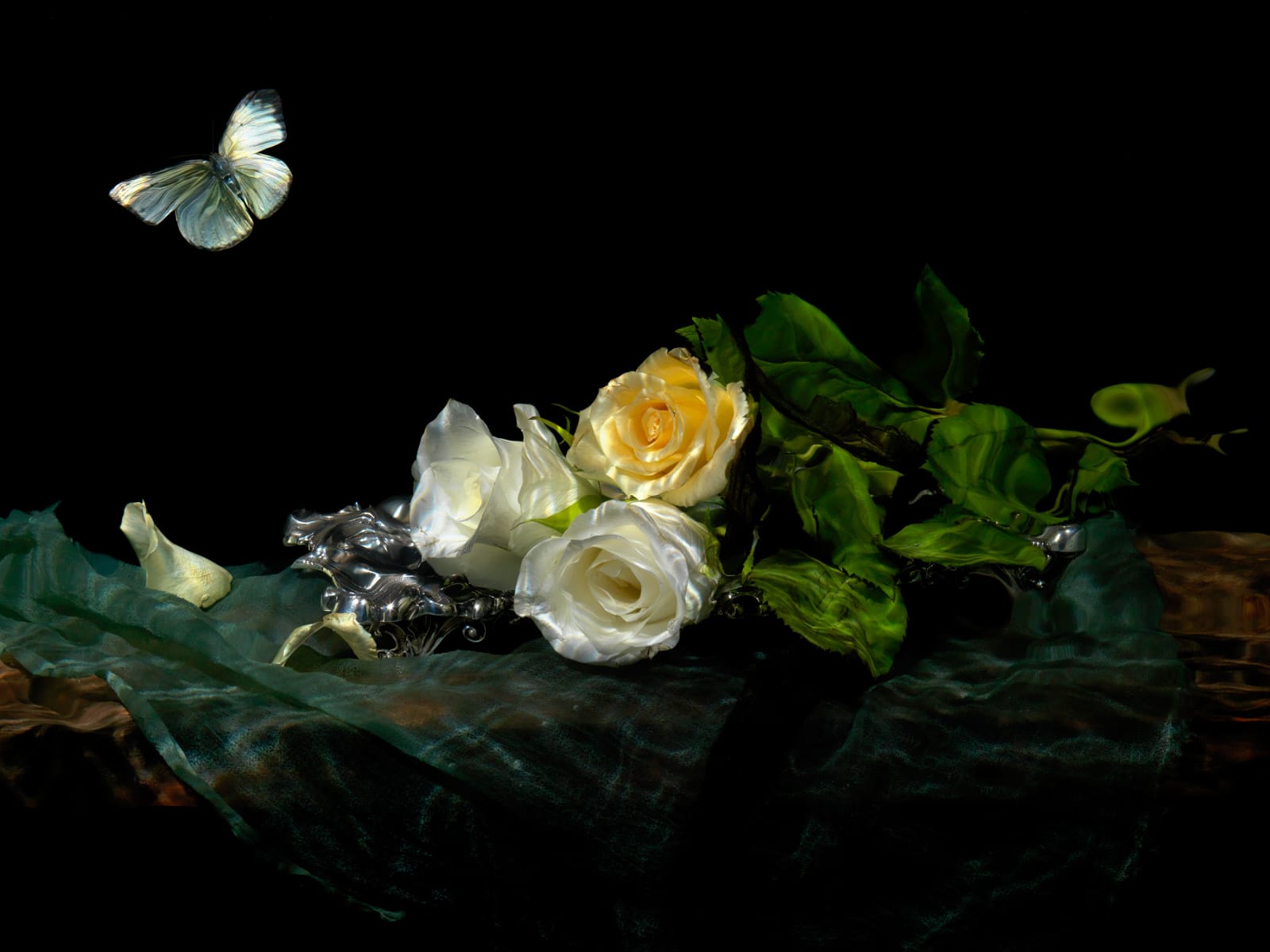 Alexander James Hamilton Temptation of Isis 2010 Dellasposa