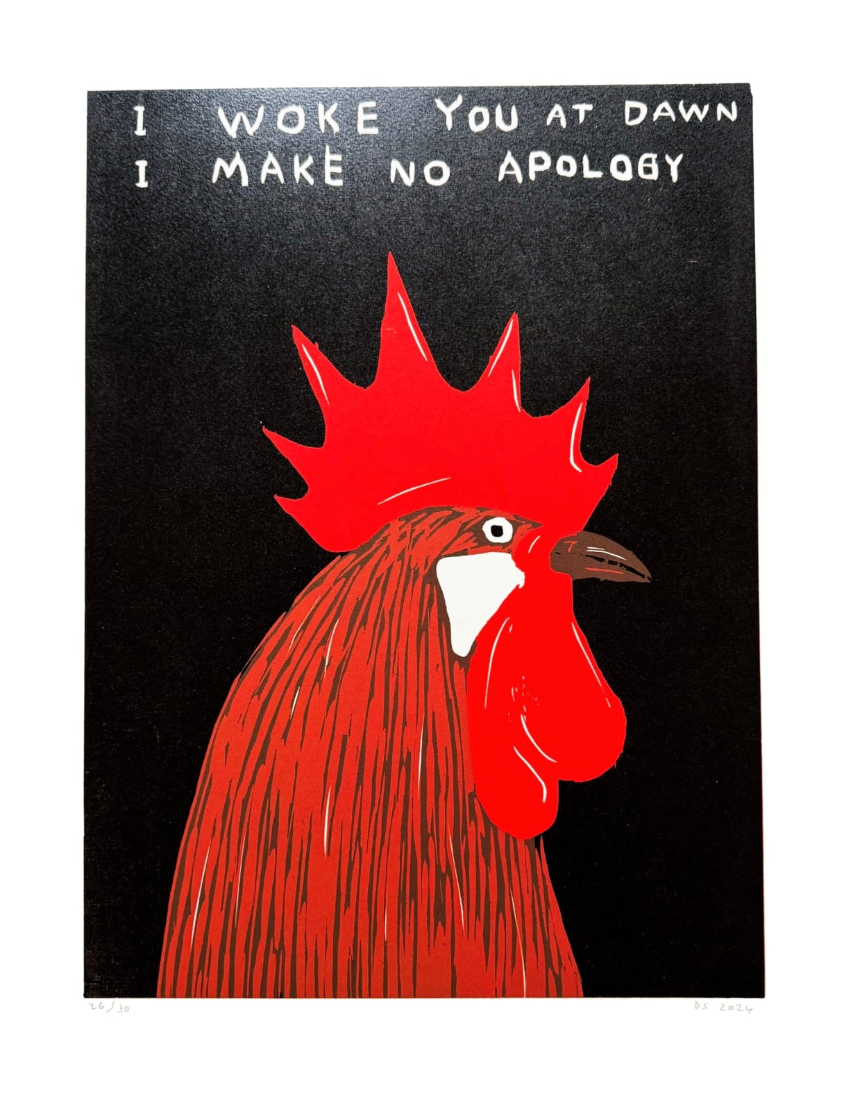 David Shrigley, I Woke You at Dawn, I Make No Apology, 2022