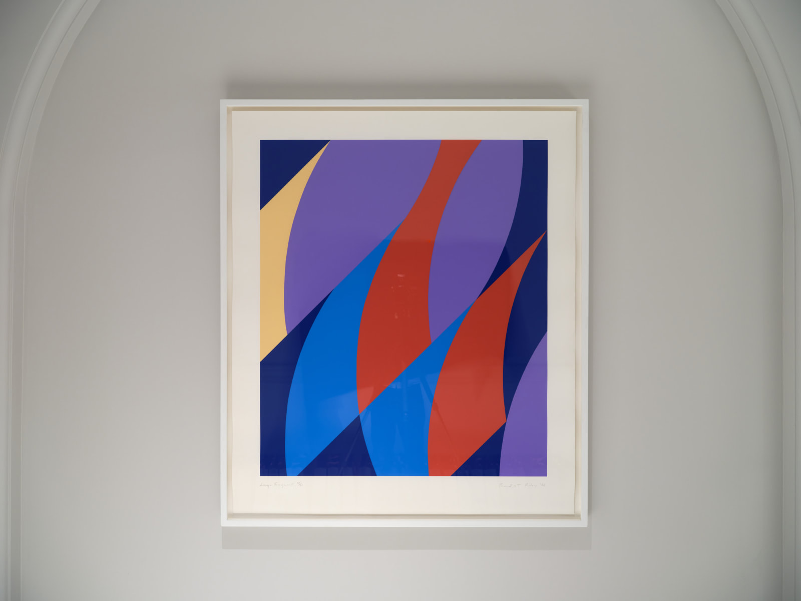 Bridget Riley, Large Fragment, 2006