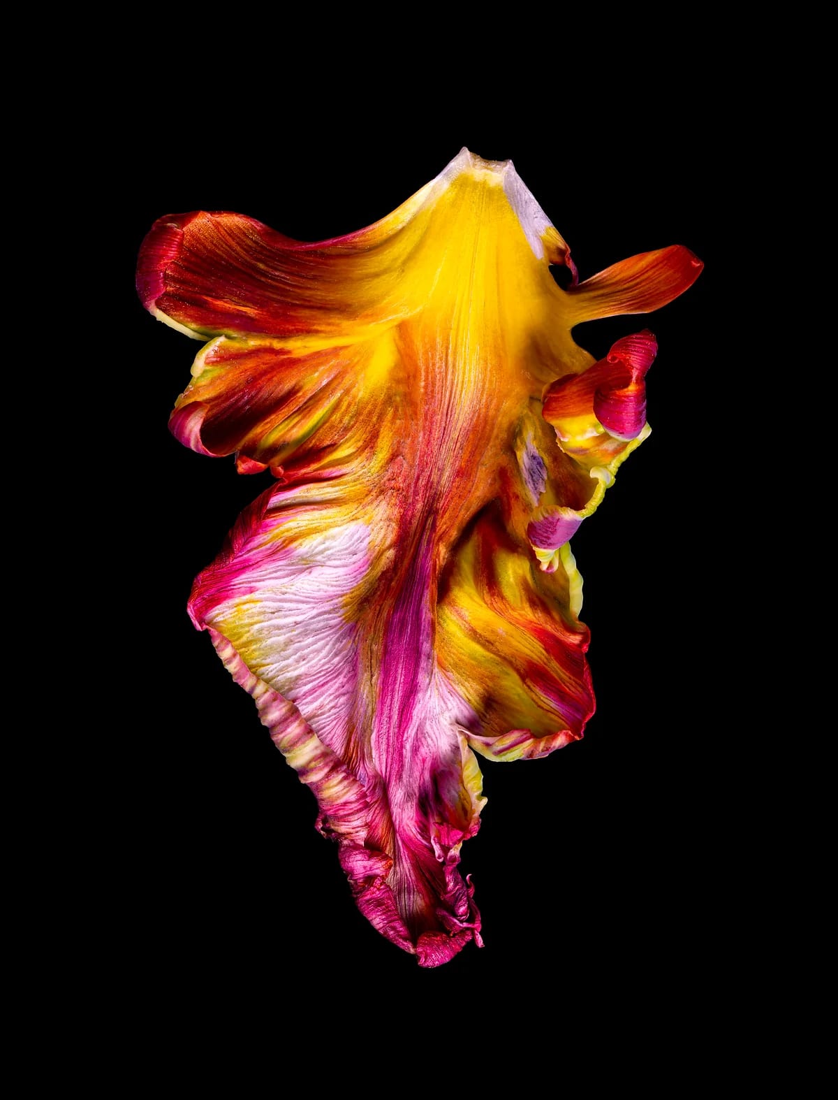 Rob Munday, Entropy's Dance [Octava], 2022