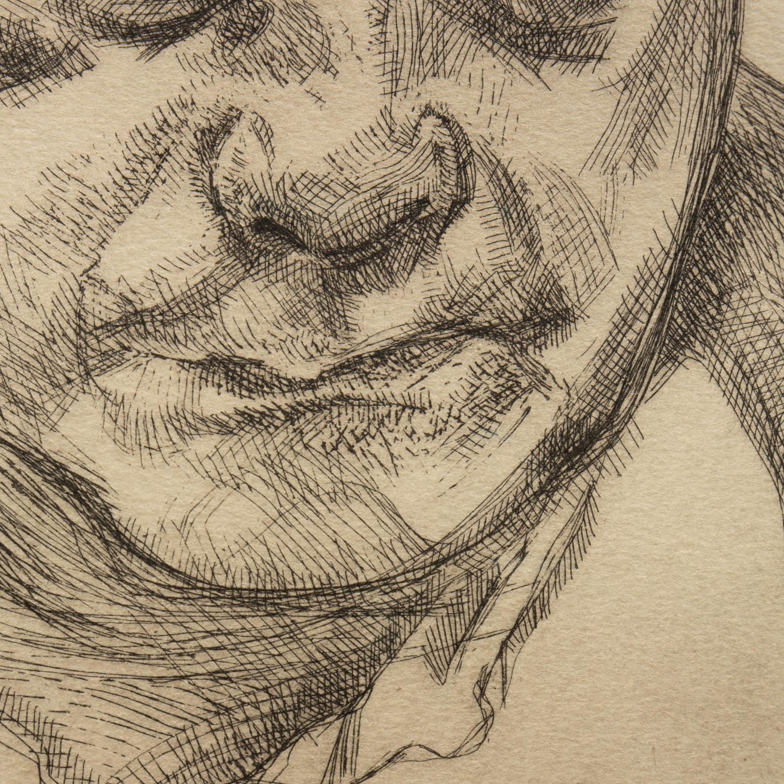Lucian Freud, Head of Bruce Bernard, 1985