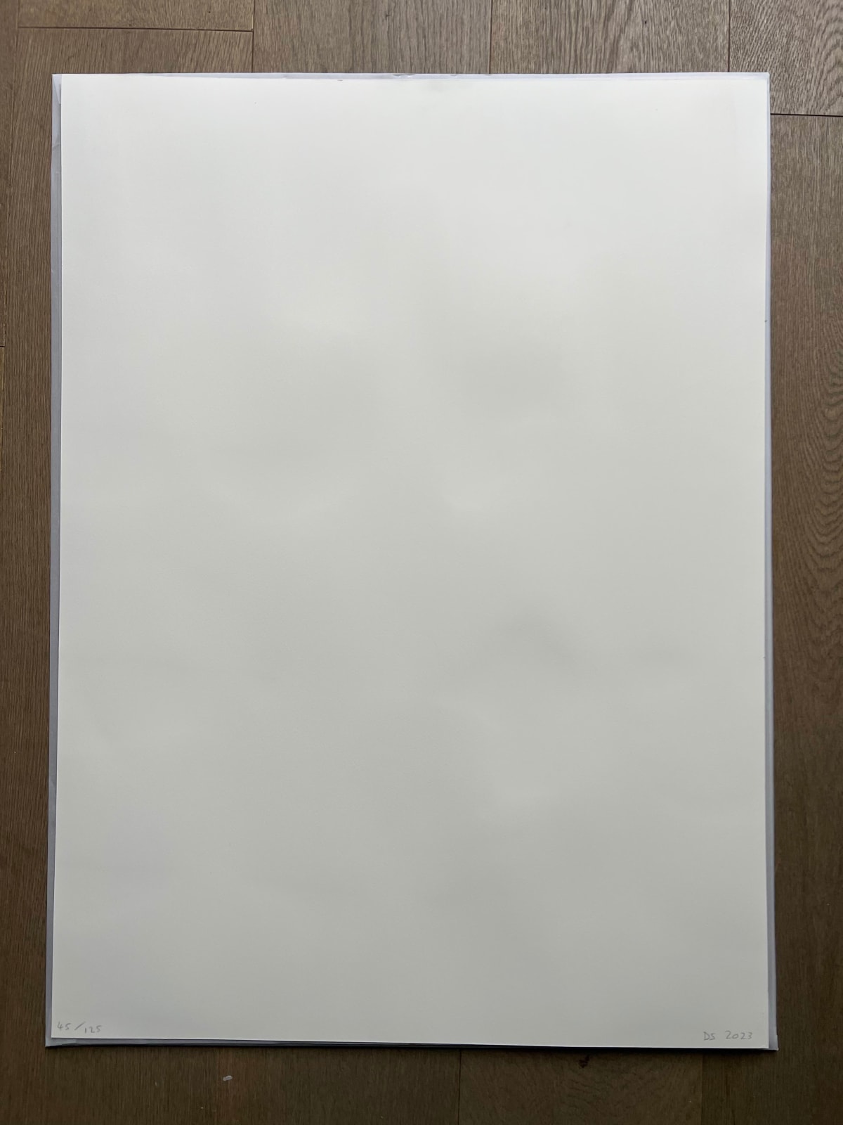 David Shrigley, Everything is Good, 2023