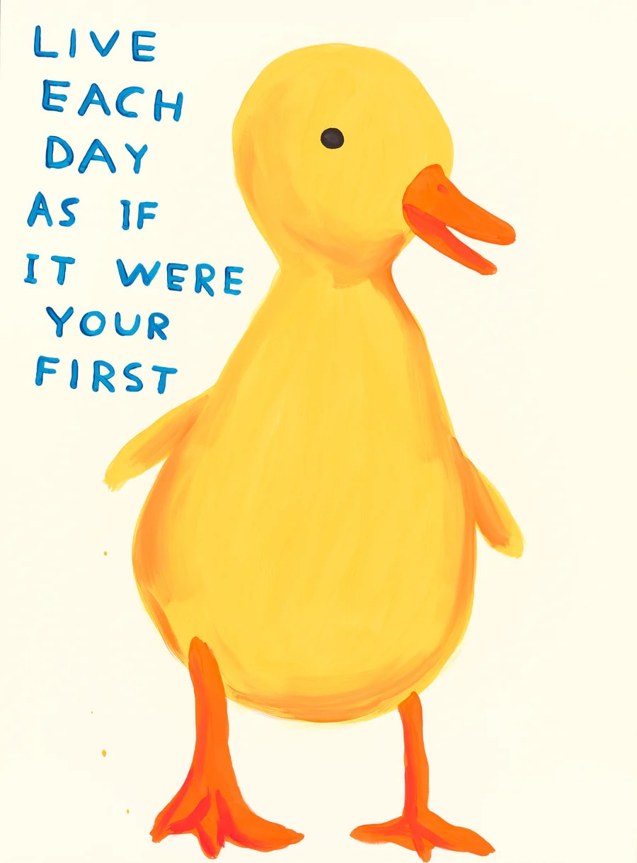 David Shrigley, Live Each Day as if it was Your First, 2022