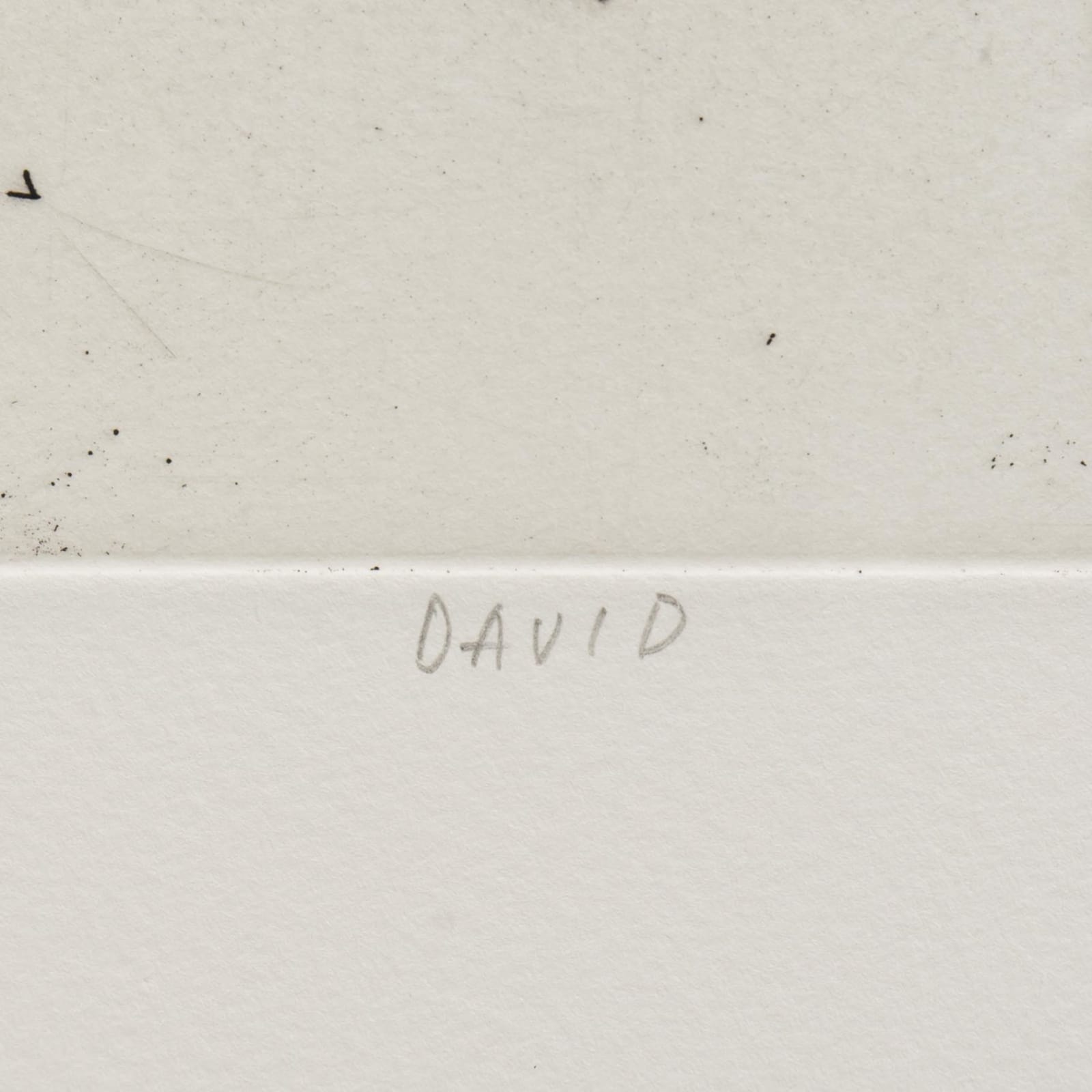 Frank Auerbach, David Landau, 2007