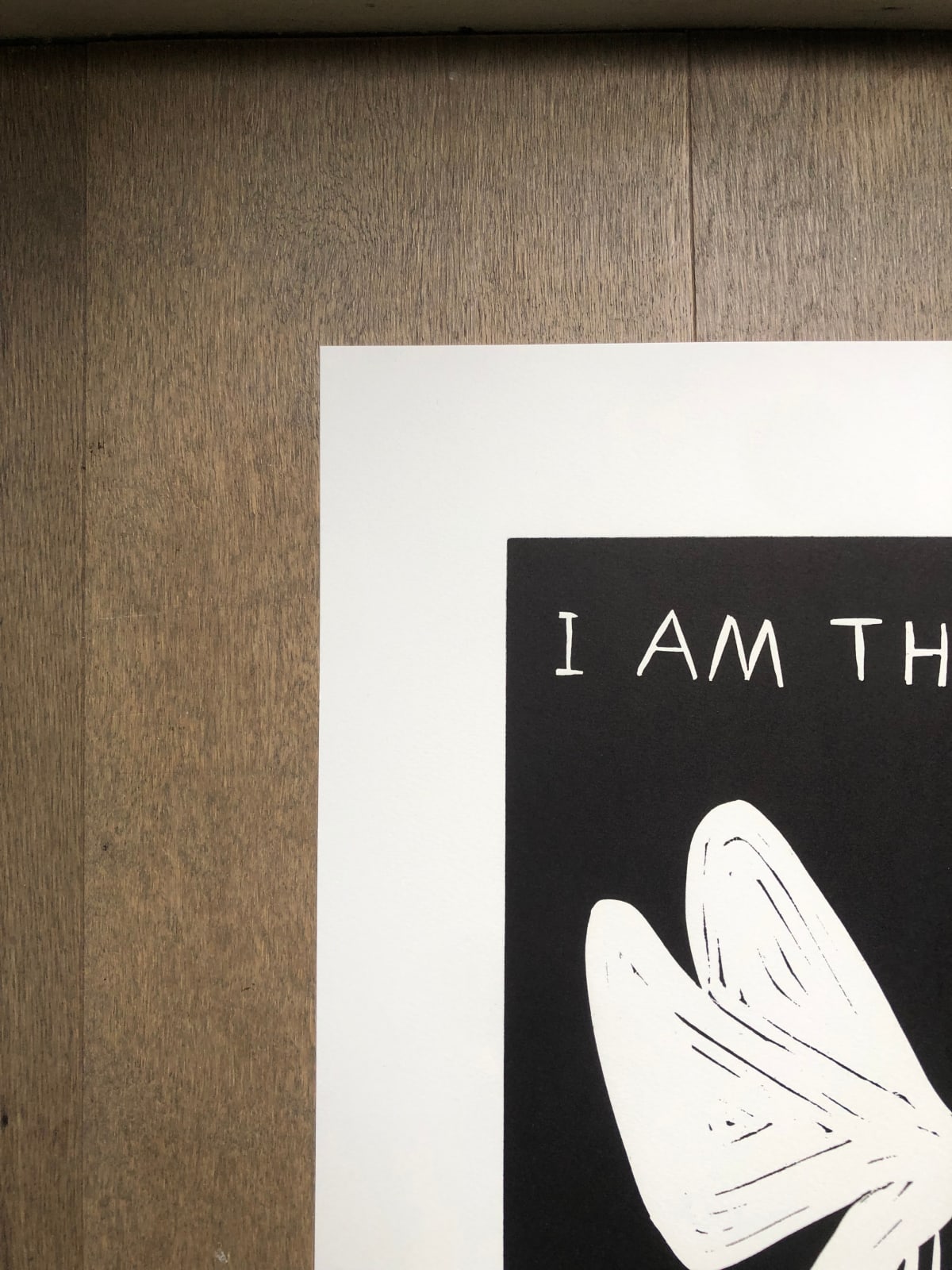 David Shrigley, I am the Moth, You are the Flame, 2022