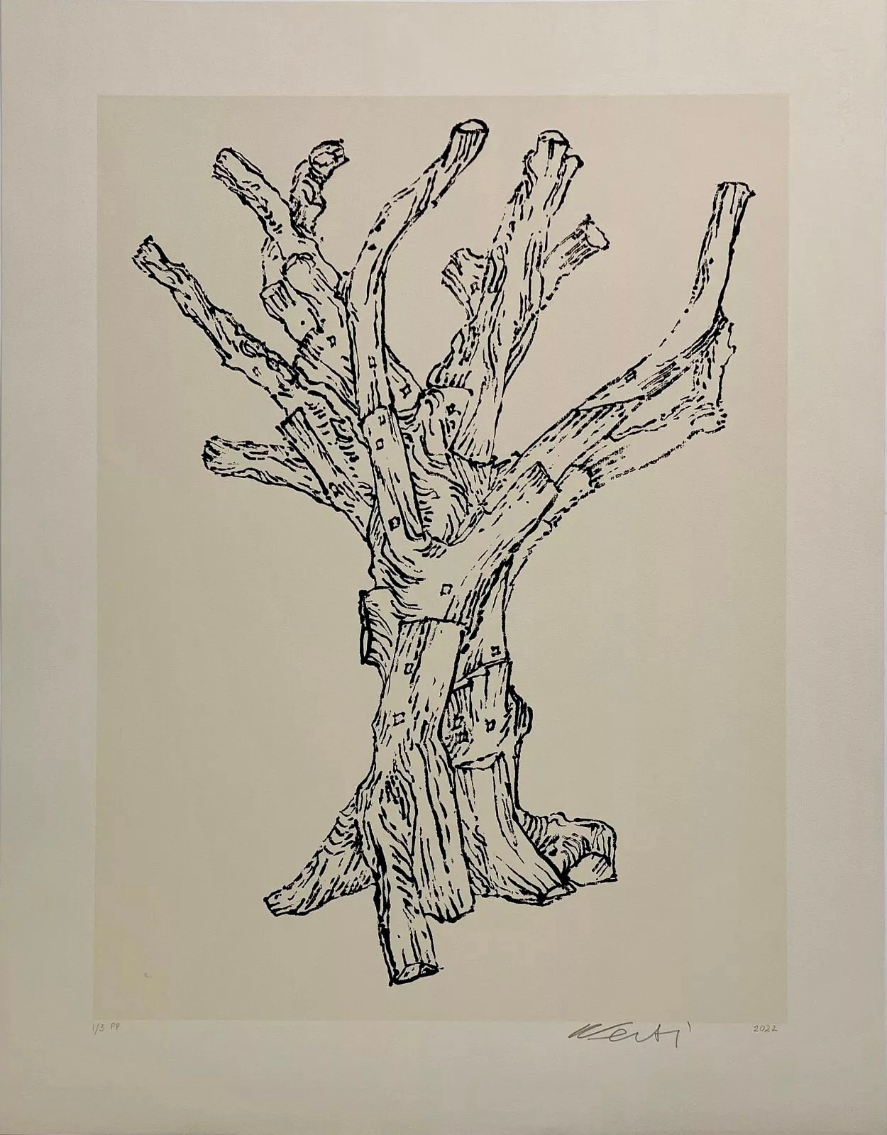 Ai Weiwei, Cedar, 2022