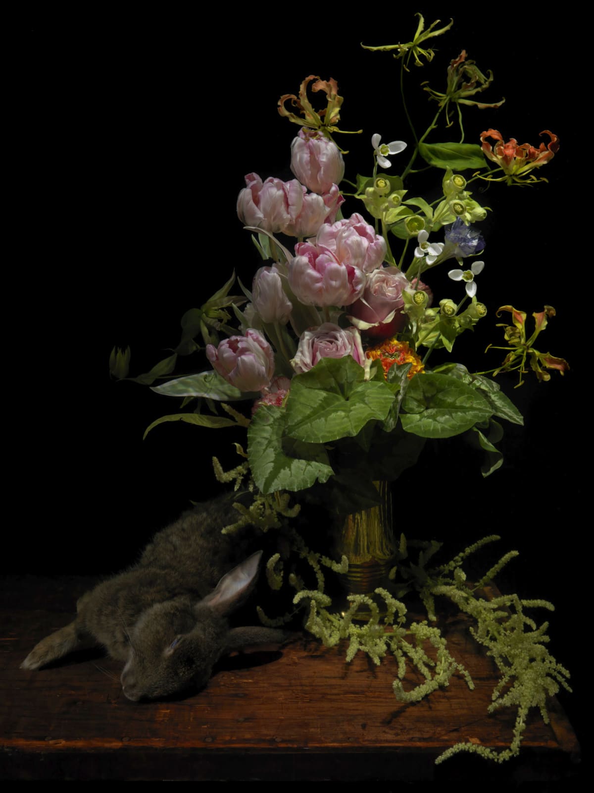 Alexander James Hamilton, Perception, 2010
