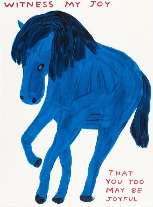 David Shrigley, Witness My Joy, 2022