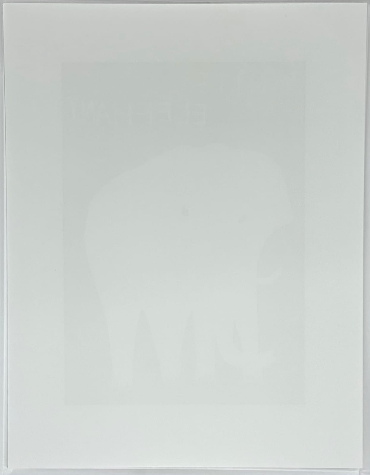 David Shrigley, White Elephant, 2021