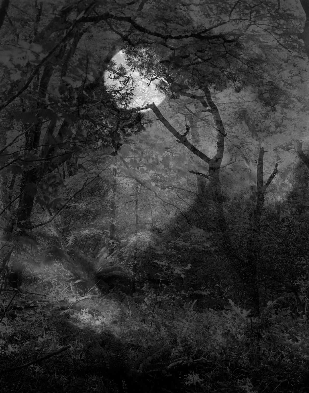 Nicholas Hughes, The Sound of Space Breathing [Verse III, no. 18], 2018 - 2021