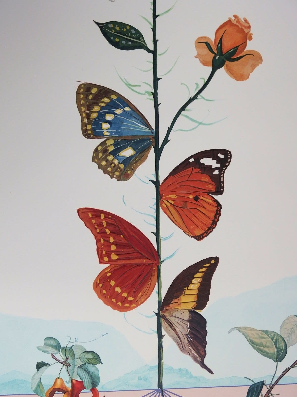Salvador Dali, Flordali II, 1981