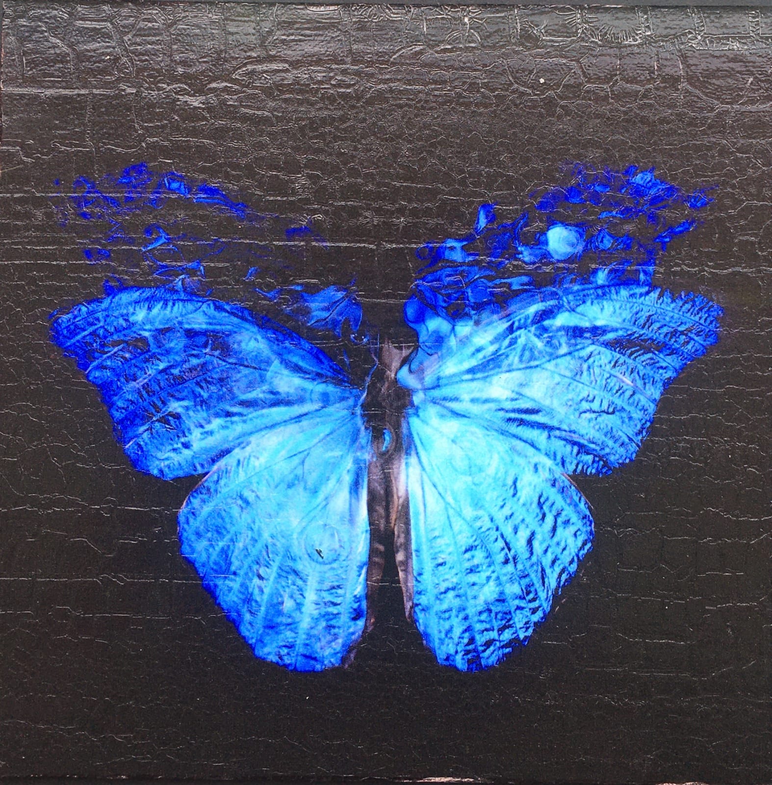 Alexander James Hamilton, Transparency of a Dream [2.0-X], 2019