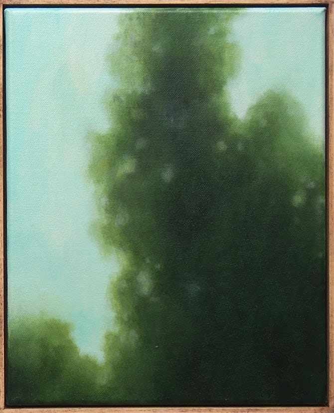 Mégane Likin, L'arbre ajouré, 2025