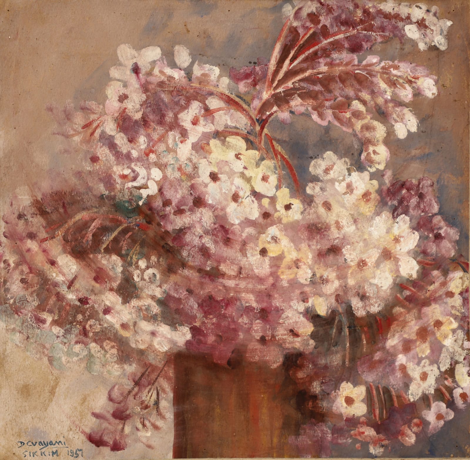 Devayani Krishna, PINK LOCULIA, 1957