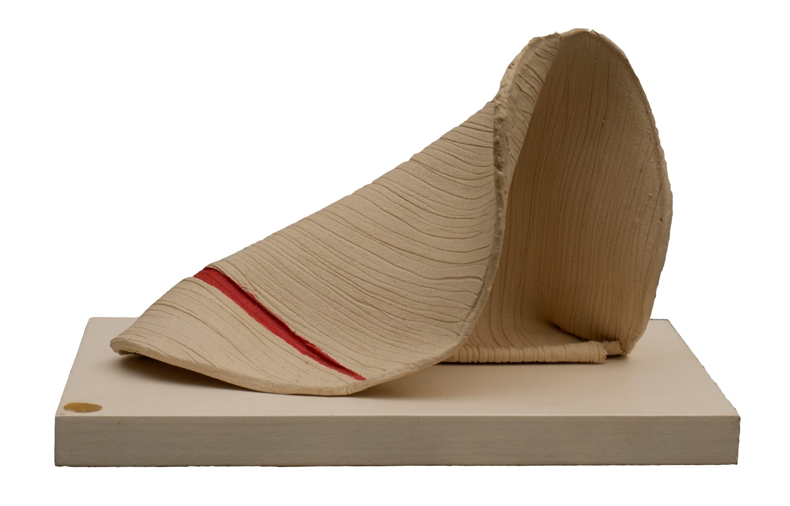 Rewati Shahani, Untitled