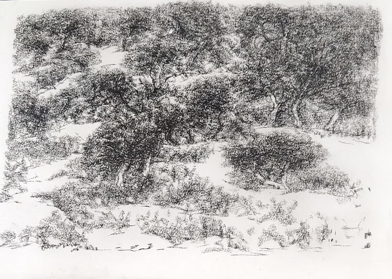 Paramjit Singh, Untitled, 2016