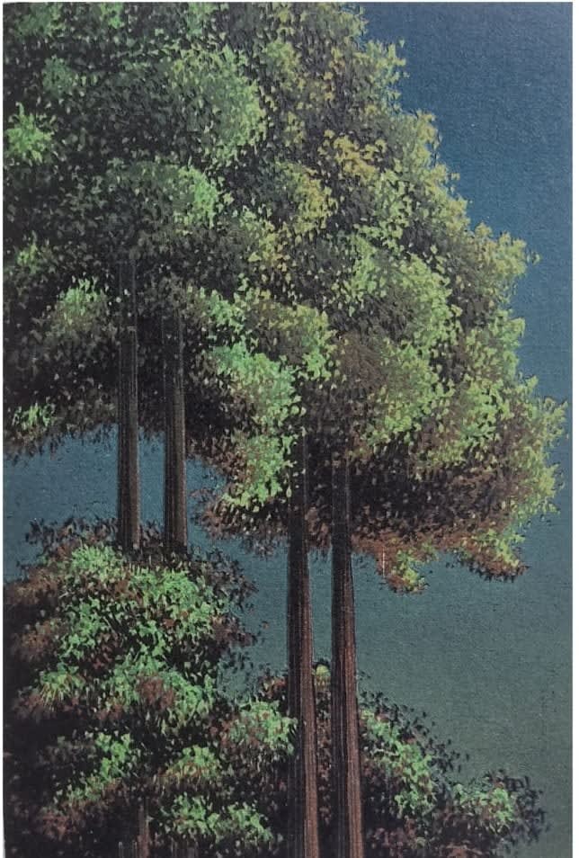 Raja Boro, Untitled, 2024