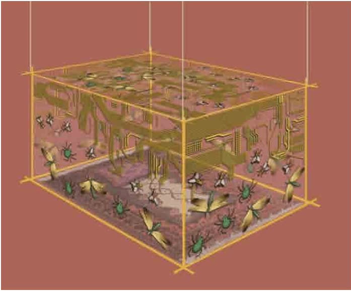 Sher Ali, Screen Weave - Installation display drawing, 2024