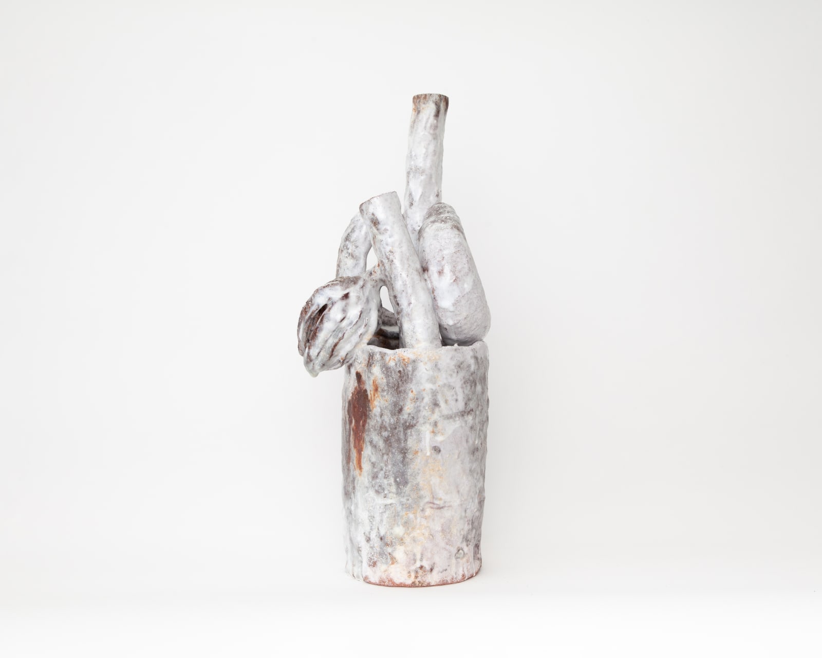 David Hicks, Clipping (White bloom with double leaf), 2021