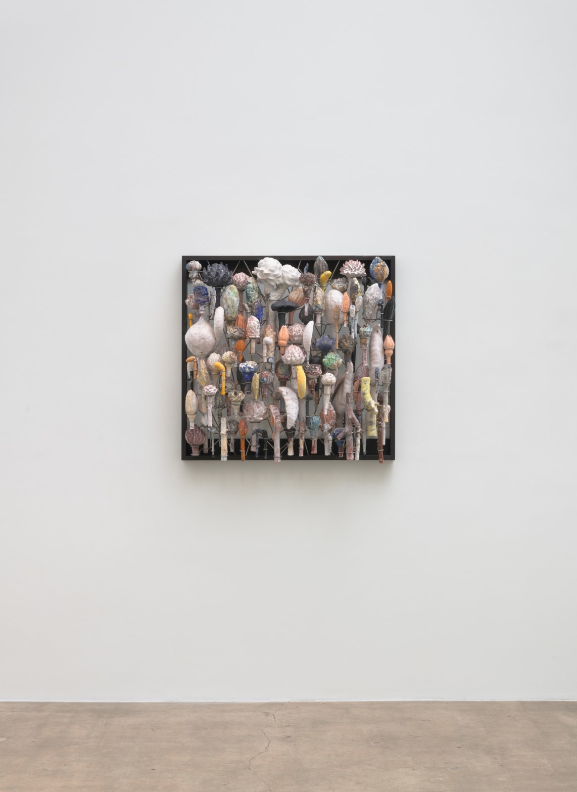 David Hicks, Poly Flora, 2023