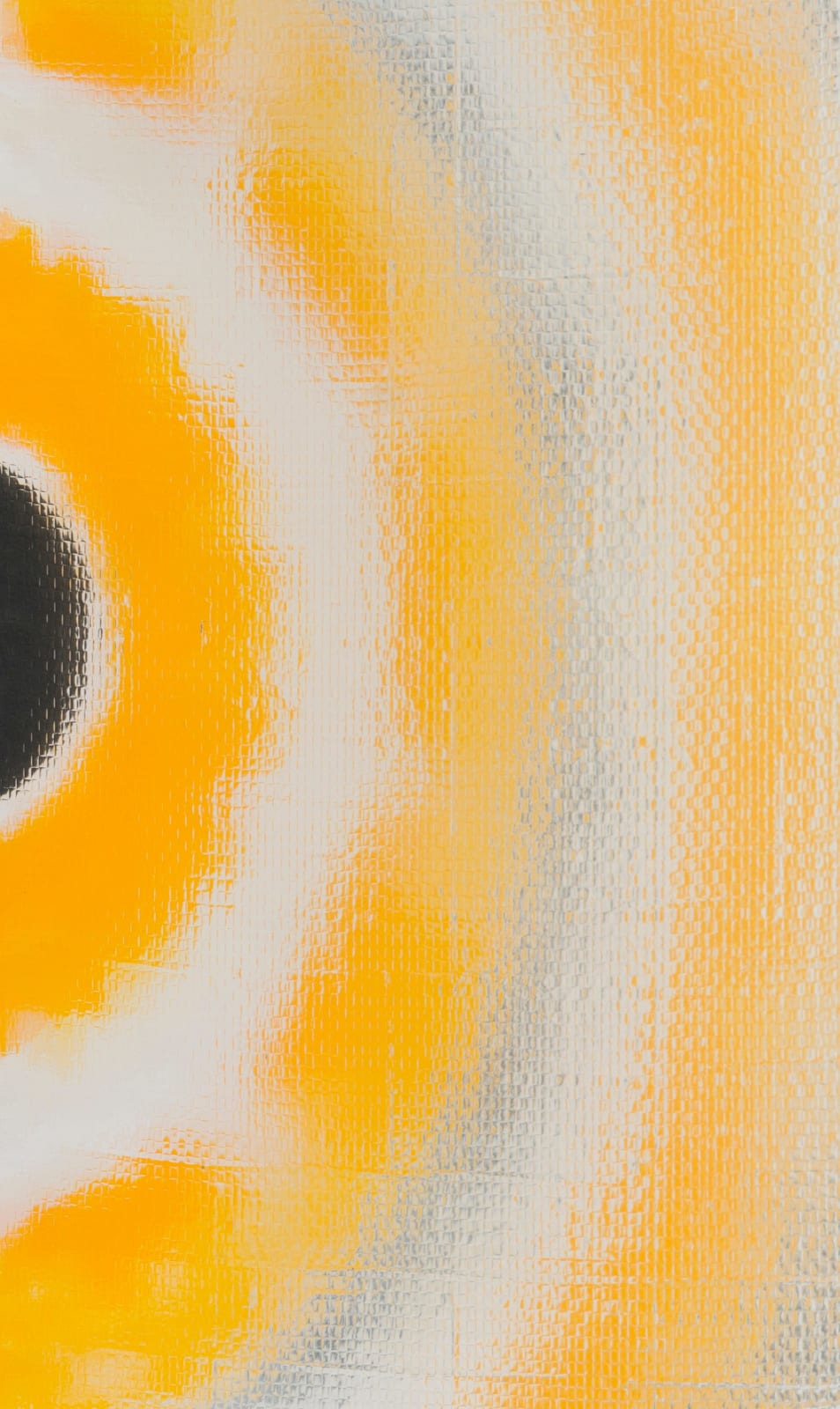 Lisa Beck, Sunspot, 2024