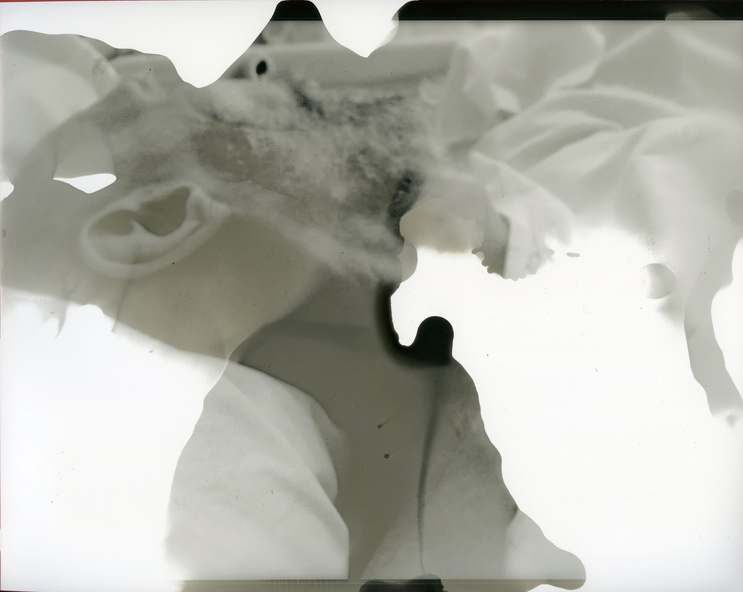 Farrah Karapetian, The Gesture of Memory, 2019