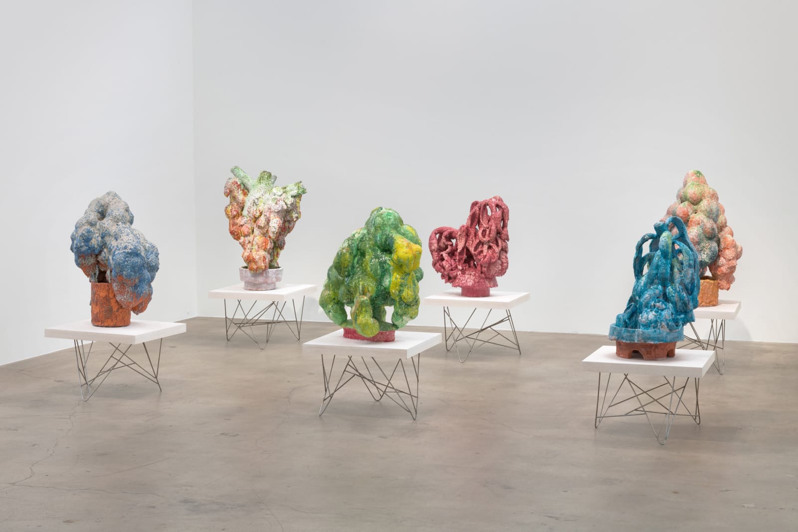 David Hicks, Old Fern, 2023