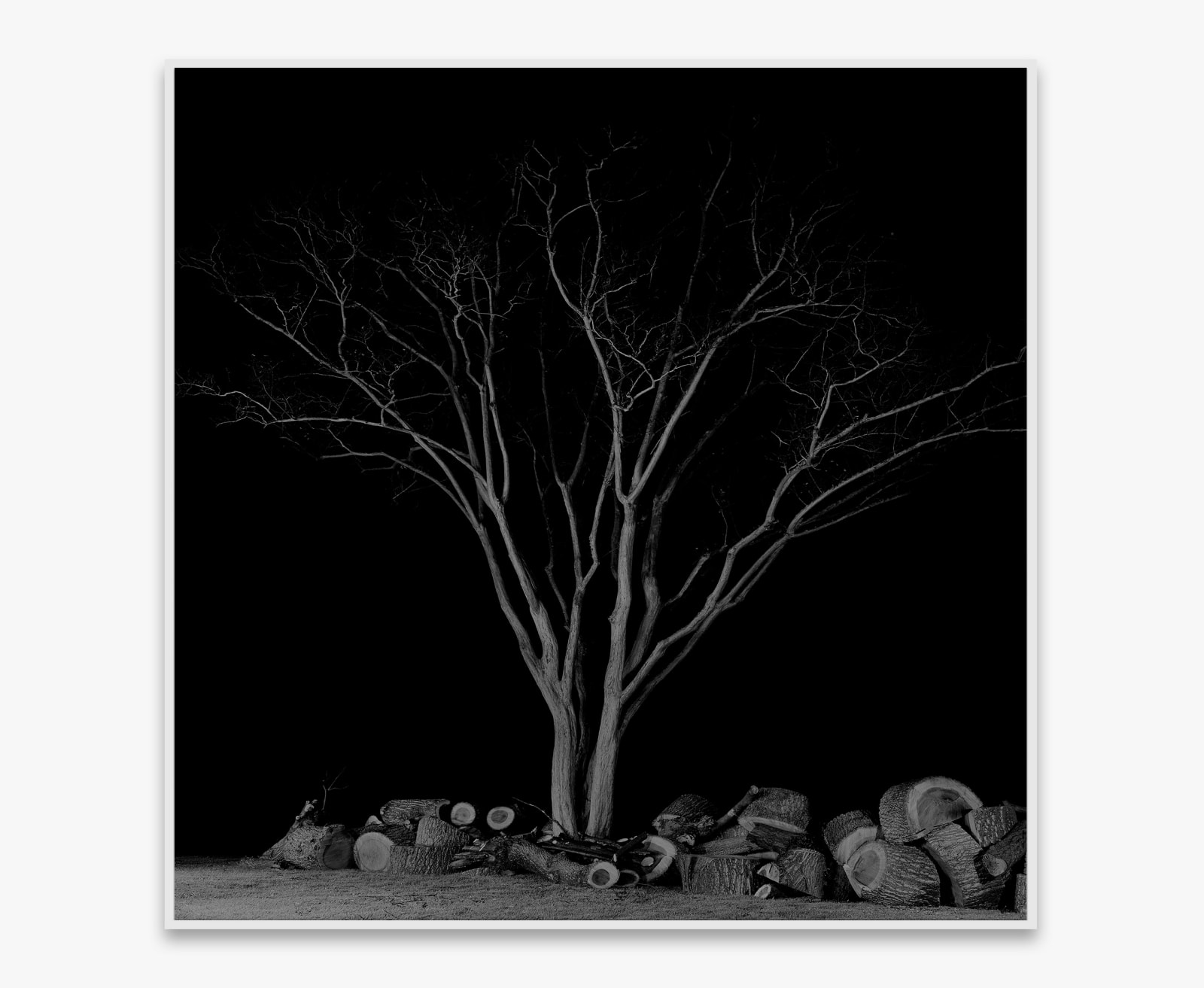 Amir Zaki, Artwork #7, 2004