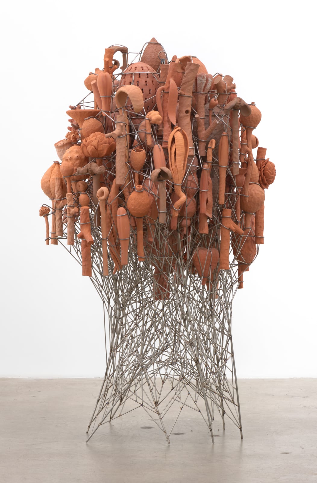 David Hicks, Terraflora, 2018-2020