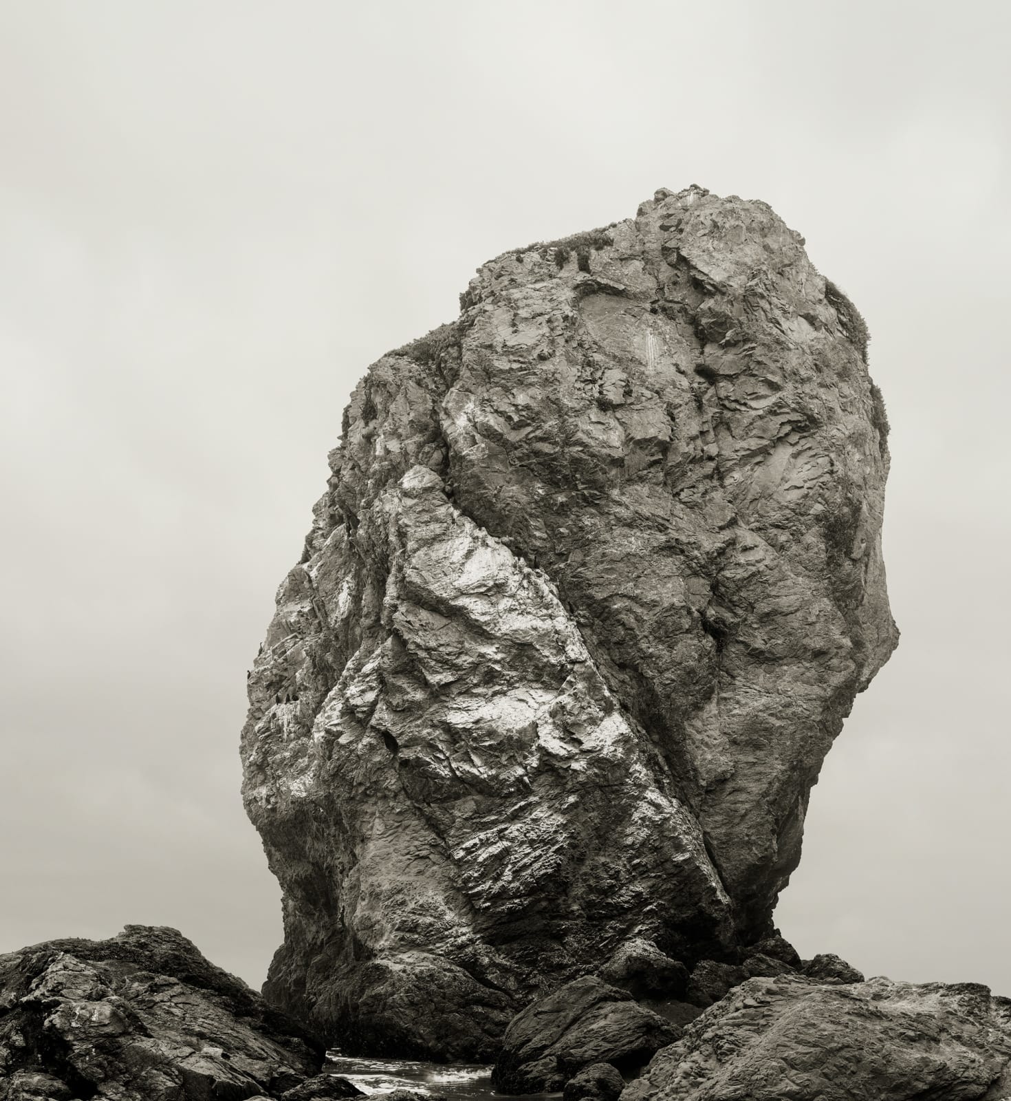 Amir Zaki, Rock #29, 2016
