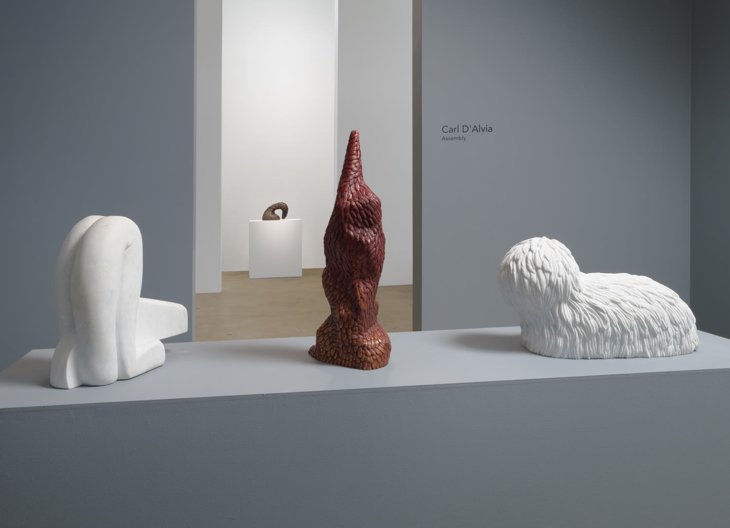 Carl D'Alvia, Rocket, 2022