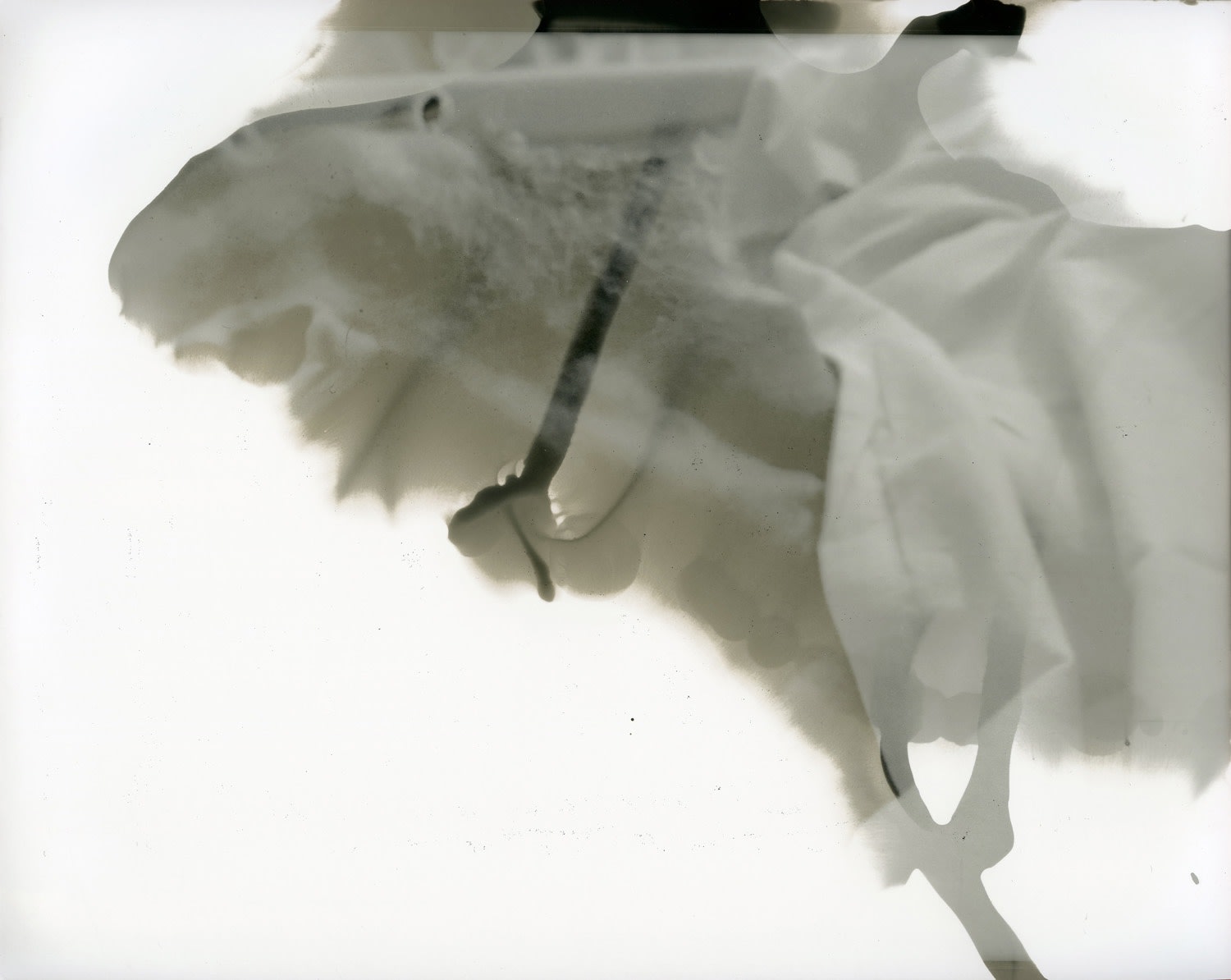 Farrah Karapetian, The Gesture of Memory, 2019