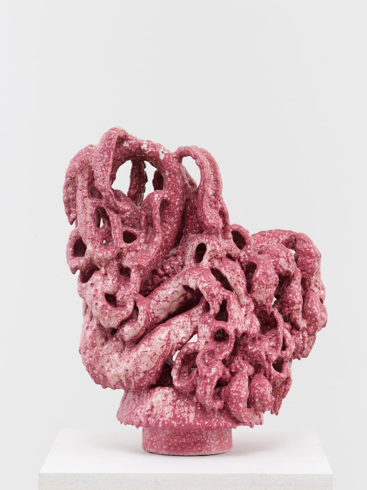 David Hicks, Pink Swan , 2022