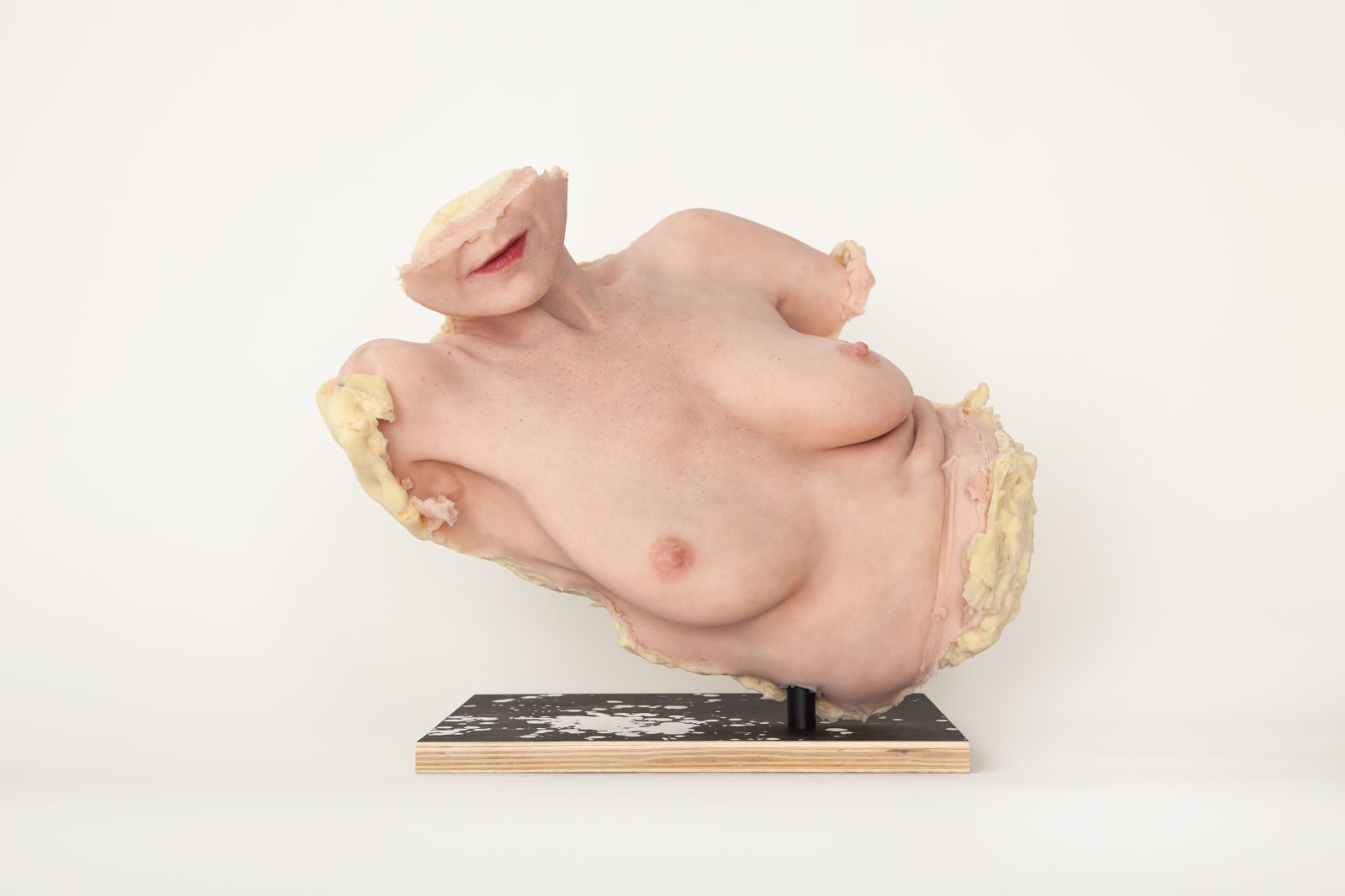 Ilona Szwarc, Virgin Soap (Installation), 2021
