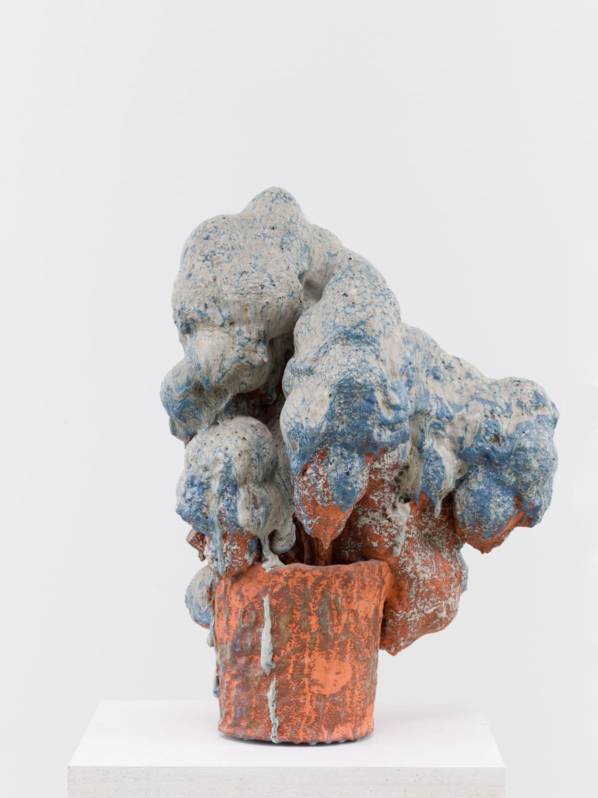 David Hicks, Blue Shrub, 2021