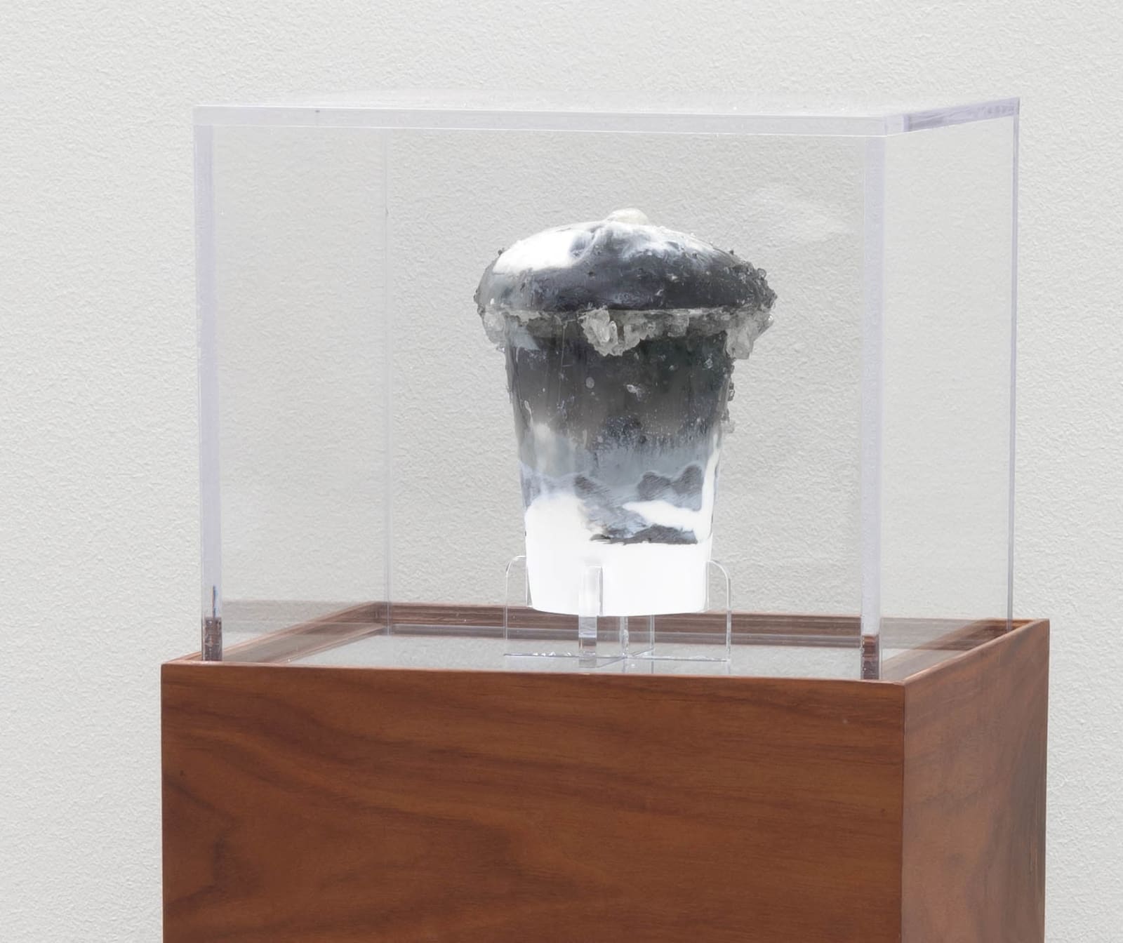Joe Ray, Mushroom (Whatnot), 2023